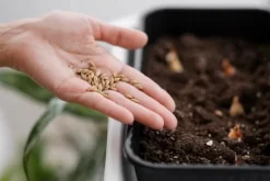 BIOVITA FRÖJORD MED KOKOSFIBER 20L