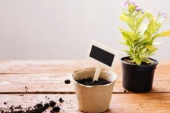 BIOVITA FRÖJORD MED KOKOSFIBER 20L