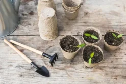 BIOVITA FRÖJORD MED KOKOSFIBER 20L