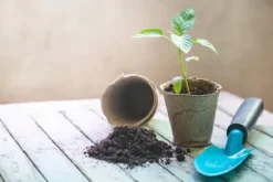 BIOVITA FRÖJORD MED KOKOSFIBER 20L