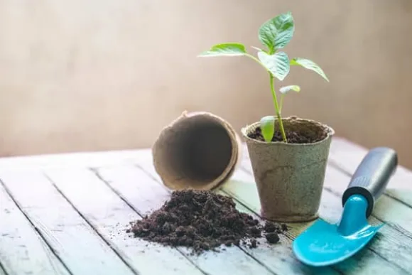 BIOVITA FRÖJORD MED KOKOSFIBER 20L