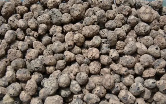 BIOVITA GARDENING EXPANDED GRAPE idealisk för dränering 8-16MM 18L