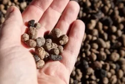 BIOVITA GARDENING EXPANDED GRAPE idealisk för dränering 8-16MM 18L