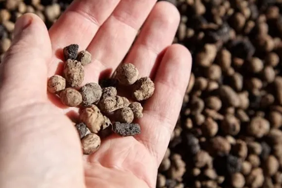 BIOVITA GARDENING EXPANDED GRAPE idealisk för dränering 8-16MM 18L