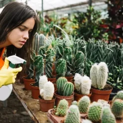 BIOVITA JORD FÖR KAKTUSAR OCH SUCCULENTER 5L