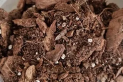 BIOVITA ORKIDÉSUBSTRAT 3L