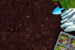 BIOVITA SURT TORV för blåbär och syraälskande växter pH 3,5-4,5 50L