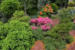 BIOVITA TRÄFLIS 50 L GUL