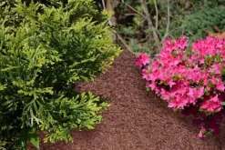 BIOVITA TRÄFLIS 50 L GUL