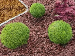 BIOVITA TRÄFLIS 50 L GUL