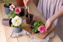 BIOVITA UNIVERSAL BLOMSTERJORD 5 LITER MED GÖDSEL