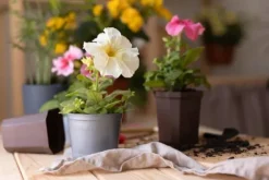 BIOVITA UNIVERSAL BLOMSTERJORD MED OSMOVIT 5L