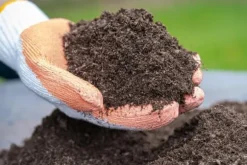 BIOVITA UNIVERSAL BLOMSTERJORD 80 LITER MED GÖDSEL