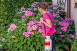 Birchmeier Tryckspruta - Garden Star 3