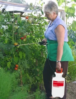 Birchmeier Tryckspruta - Garden Star 3