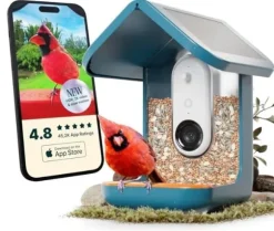 Birdbuddy Smart Bird Feeder 2.0 Blå med solpanel