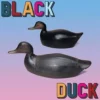 Black Duck - Black Duck (CD)
