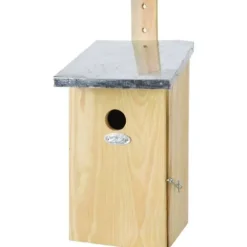 Blåmesar observatorium holk