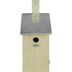 Blåmesar observatorium holk