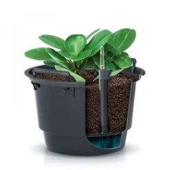 BLOMKRUKSINSATS - SVART 8L - PP-IWKO280