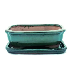 bol bonsai med fat storlek 2 - grön - fyrkantig - modell g12 - l 15,5cm - b 11,5cm - h 4,5cm