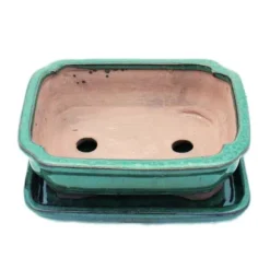 bol bonsai med fat storlek 2 - grön - fyrkantig - modell g12 - l 15,5cm - b 11,5cm - h 4,5cm