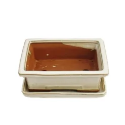 bol bonsai med fat storlek 3 - ljusbeige - fyrkantig - modell g29 - l 18cm - b 13cm - h 6cm