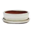 bonsai skål med fat storlek 2 - ljus beige - oval - modell o7 - l 15,5 cm - b 12 cm - h 4,5 cm