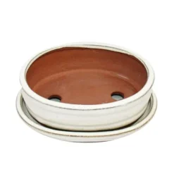bonsai skål med fat storlek 2 - ljus beige - oval - modell o7 - l 15,5 cm - b 12 cm - h 4,5 cm