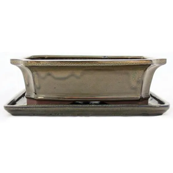 bonsai skål med fat storlek 4 - olivbrun - kantig - modell g4 - l 26cm - l 20cm - h 8cm