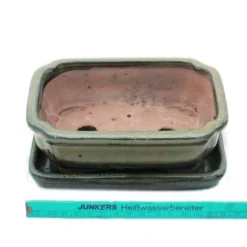 bonsai skål med fat storlek 2 - olivbrun - fyrkantig - modell g12 - l 15,5 cm - l 11,5 cm - h 4,5 cm