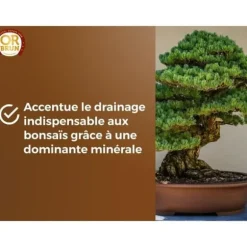 Bonsaijord - BROWN GOLD - OBRTBON6U - 6L - Bättre rotning