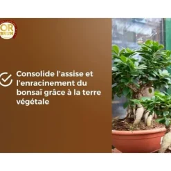 Bonsaijord - BROWN GOLD - OBRTBON6U - 6L - Bättre rotning