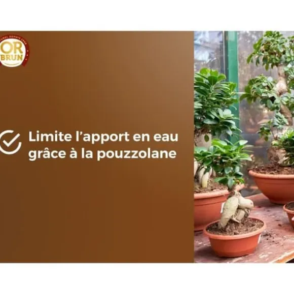 Bonsaijord - BRUNT GULD - OBRTBON6U - 6L - Bättre rotbildning