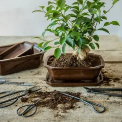 BONSÅKSIKLIPPER I STÅL 11,4X18,6X1,9CM SAXAR