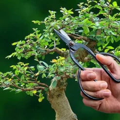 BONSÅKSIKLIPPER I STÅL 11,4X18,6X1,9CM SAXAR