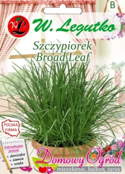 Bredbladiga gräslökfrön, 2 g