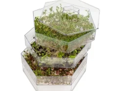 Browin Sproutmill Niezłe Ziółko multilevel