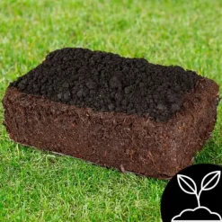 Brun svampmycelium 30 kg stort odlingskit Instruktioner + Gratis