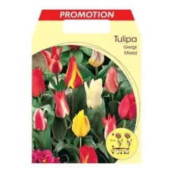 BULBERRÖTTER AUTUMN TULIPA GREIGII I BLANDNING AV FÄRGER FÖRPACKNING MED 20 BULBERRÖTTER