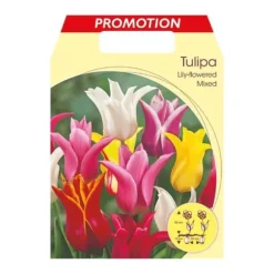 BULBVARIANT AUTUNNALA TULIPAN LILJE-FLOREAD MIX FÖRPACKNING MED 20 BULLAR BULBS BULBES