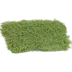 Busch 3596 Buske Vår 35 mm