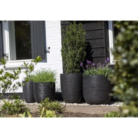 CAPI EUROPE RIB NL Kulblomkruka - 43x41 cm - Svart