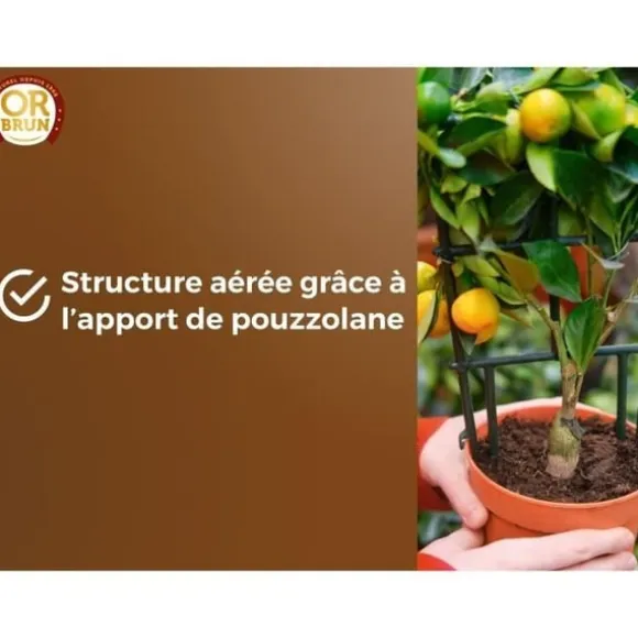 Citrus- och medelhavsjord - BROWN GOLD - OBRTAG20N - 20 L