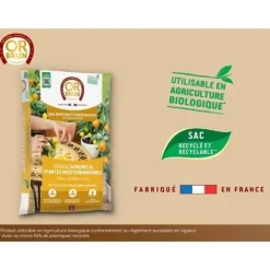 Citrus- och medelhavsjord - BRUN GULD - OBRTAGR6U - 6L - Olivträd, palmer och cycas