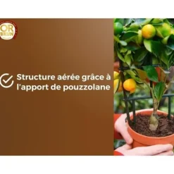 Citrus- och medelhavsjord - BRUN GULD - OBRTAGR6U - 6L - Olivträd, palmer och cycas