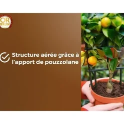 Citrus- och medelhavsjord - BROWN GOLD - OBRTAG20N - 20 L