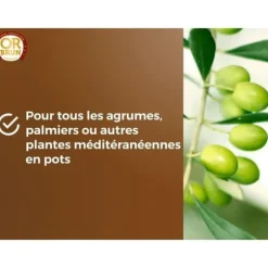 Citrus- och medelhavsjord - BROWN GOLD - OBRTAG20N - 20 L