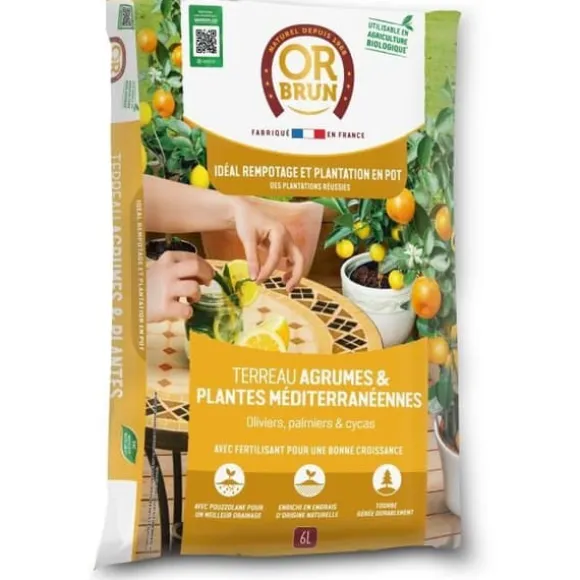 Citrus- och medelhavsväxter Jord - BRUNT GULD - OBRTAGR6U - 6L - Olivträd Palmer och cycas