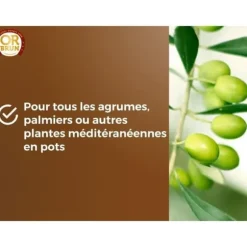 Citrus- och medelhavsväxter Jord - BRUNT GULD - OBRTAGR6U - 6L - Olivträd Palmer och cycas